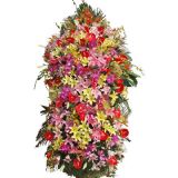 温泉开业花篮