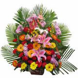 Ȫʻٵ