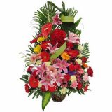 Ȫʻٵ