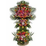 Ȫʻٵ